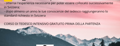 INFERMIERI SVIZZERA TEDESCA